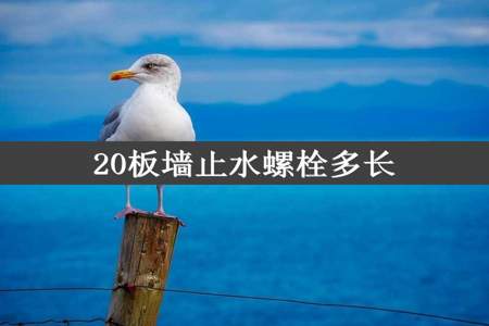 20板墙止水螺栓多长