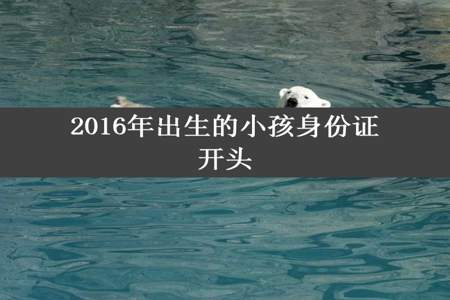 2016年出生的小孩身份证开头