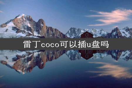 雷丁coco可以插u盘吗