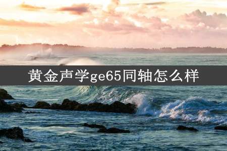 黄金声学ge65同轴怎么样