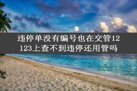 违停单没有编号也在交管12123上查不到违停还用管吗