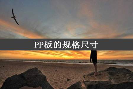 PP板的规格尺寸