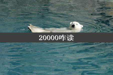 20000咋读