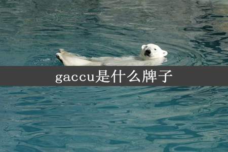 gaccu是什么牌子