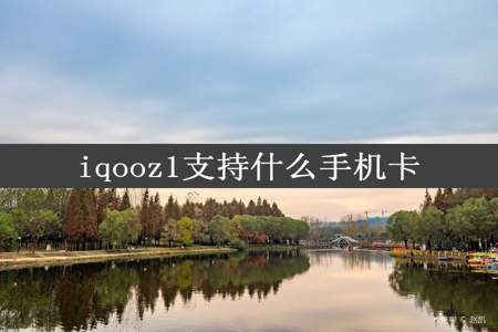 iqooz1支持什么手机卡