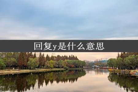 回复y是什么意思