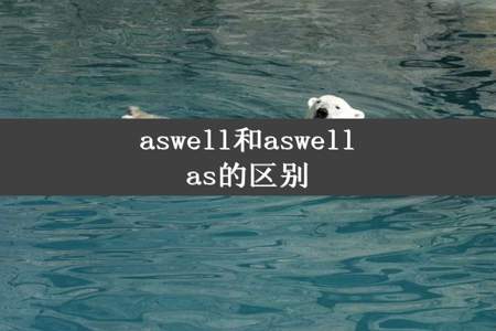 aswell和aswellas的区别