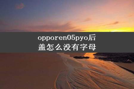 opporen05pyo后盖怎么没有字母