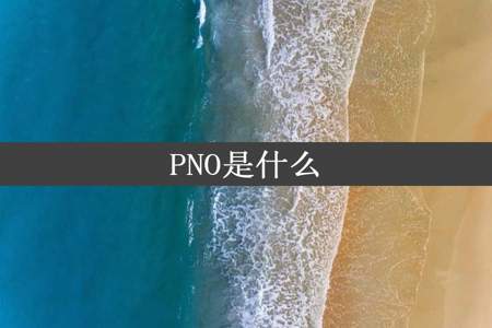 PNO是什么