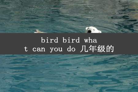 bird bird what can you do 几年级的