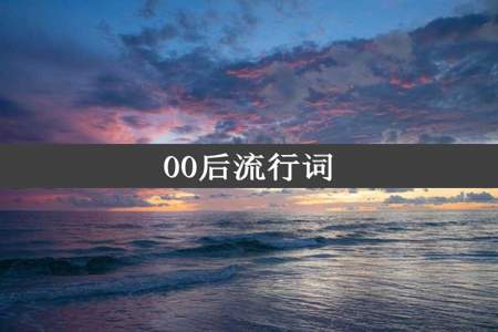 00后流行词