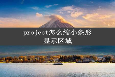 project怎么缩小条形显示区域