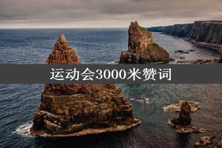 运动会3000米赞词