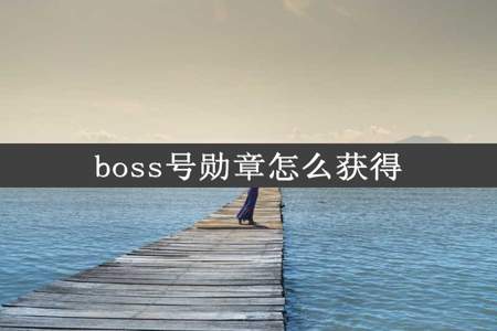 boss号勋章怎么获得