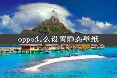 oppo怎么设置静态壁纸