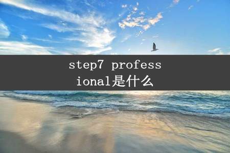 step7 professional是什么