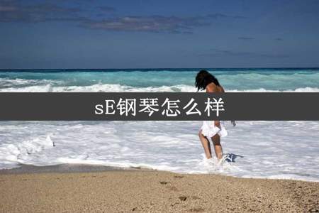 sE钢琴怎么样