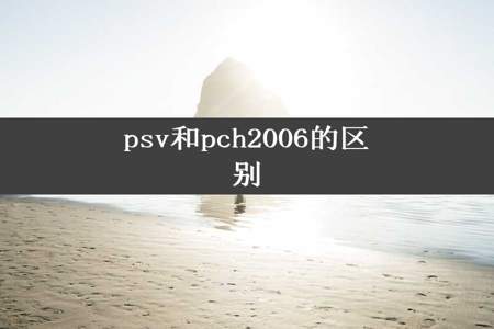 psv和pch2006的区别