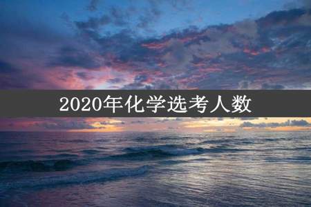 2020年化学选考人数