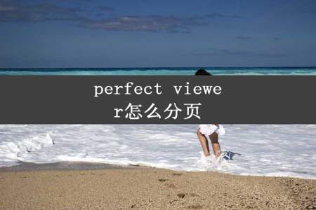 perfect viewer怎么分页