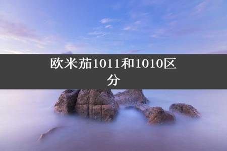 欧米茄1011和1010区分