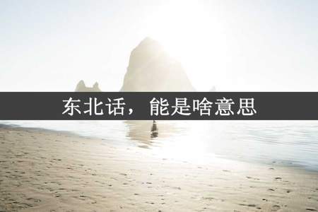 东北话，能是啥意思