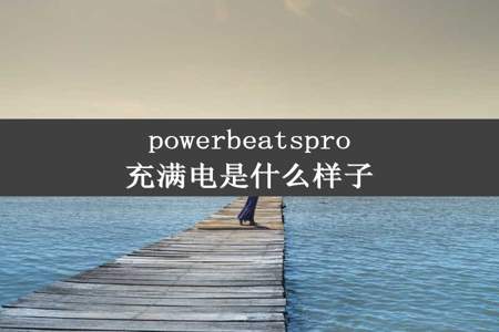 powerbeatspro充满电是什么样子