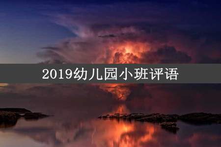 2019幼儿园小班评语