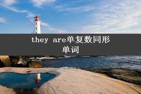 they are单复数同形单词