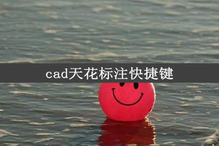 cad天花标注快捷键