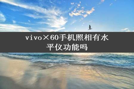 vivo×60手机照相有水平仪功能吗