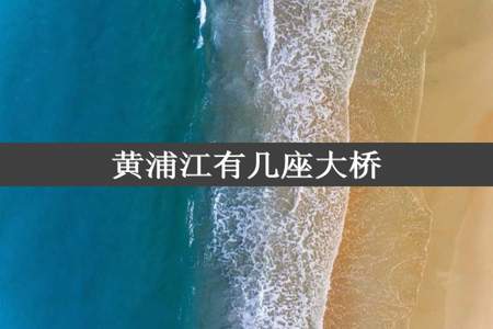 黄浦江有几座大桥