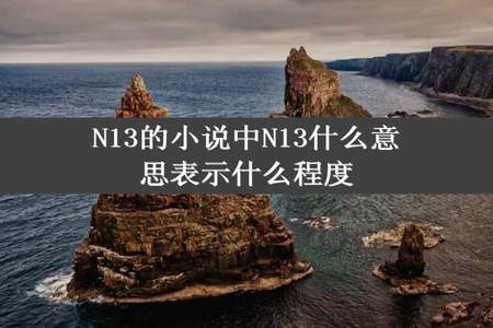 N13的小说中N13什么意思表示什么程度