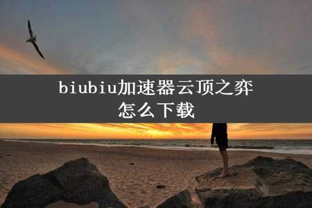 biubiu加速器云顶之弈怎么下载