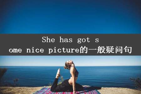 She has got some nice picture的一般疑问句