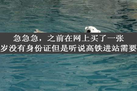 急急急，之前在网上买了一张高铁票本人14岁没有身份证但是听说高铁进站需要身份证怎么办