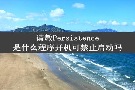 请教Persistence是什么程序开机可禁止启动吗