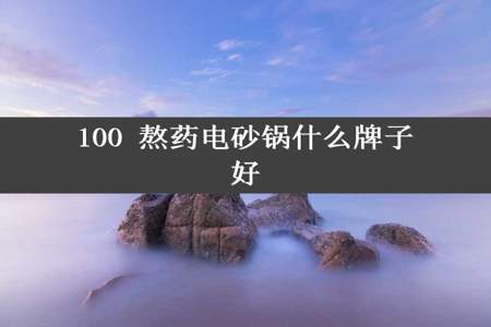 100 熬药电砂锅什么牌子好