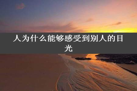 人为什么能够感受到别人的目光