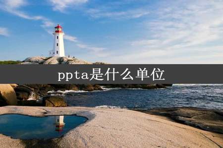 ppta是什么单位