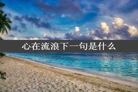 心在流浪下一句是什么