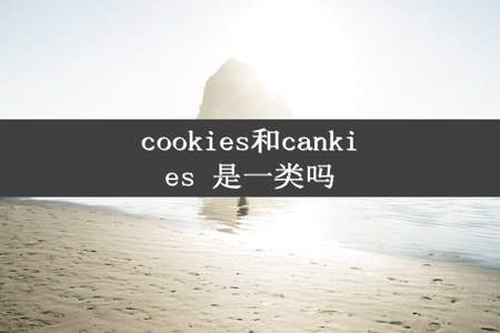 cookies和cankies 是一类吗