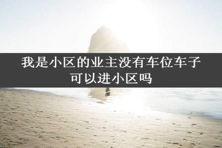 我是小区的业主没有车位车子可以进小区吗