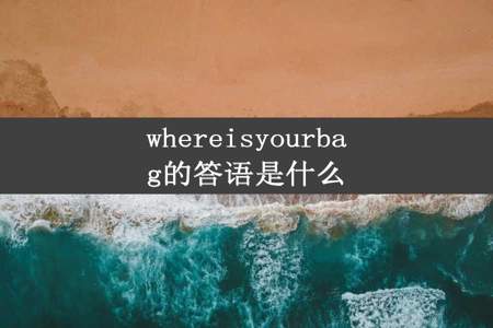 whereisyourbag的答语是什么