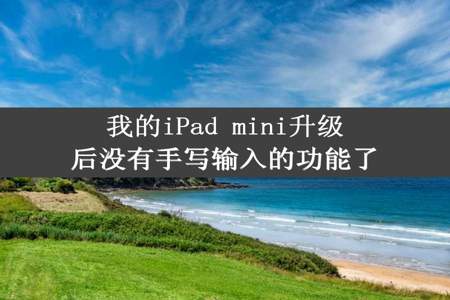 我的iPad mini升级后没有手写输入的功能了