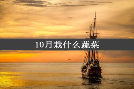 10月栽什么蔬菜