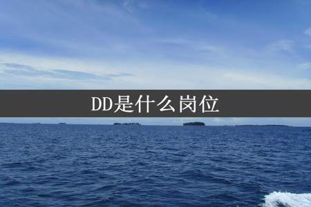 DD是什么岗位