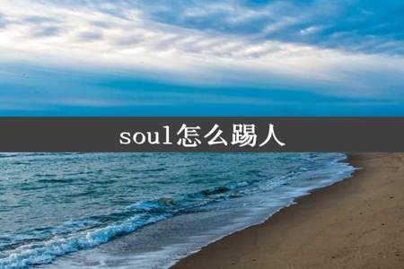 soul怎么踢人