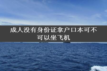 成人没有身份证拿户口本可不可以坐飞机