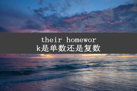 their homework是单数还是复数